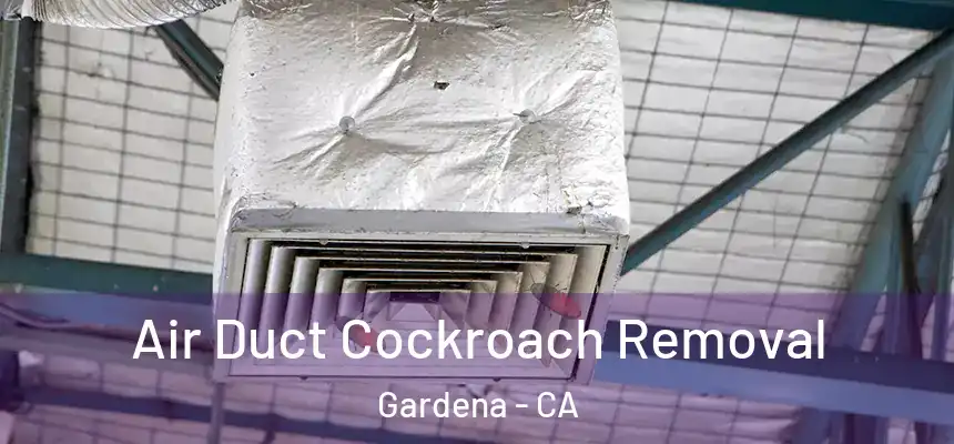 Air Duct Cockroach Removal Gardena - CA