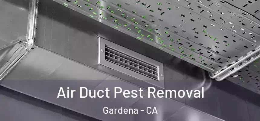  Air Duct Pest Removal Gardena - CA
