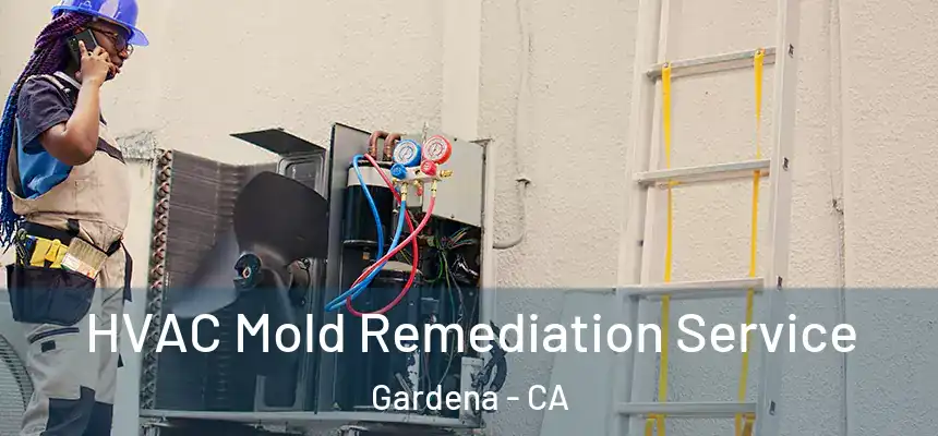  HVAC Mold Remediation Service Gardena - CA