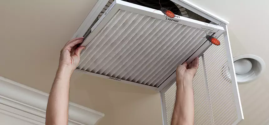 Our Insect Removal from Air Ducts Services in Gardena, CA