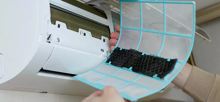 Gentle Ductwork Odor-Control Pet Dander Duct Cleaning in Gardena, CA