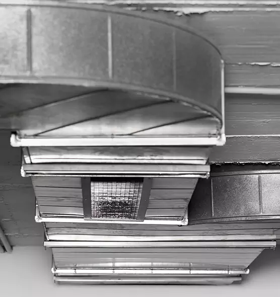 Professional Air Duct Pest Removal in Gardena, CA