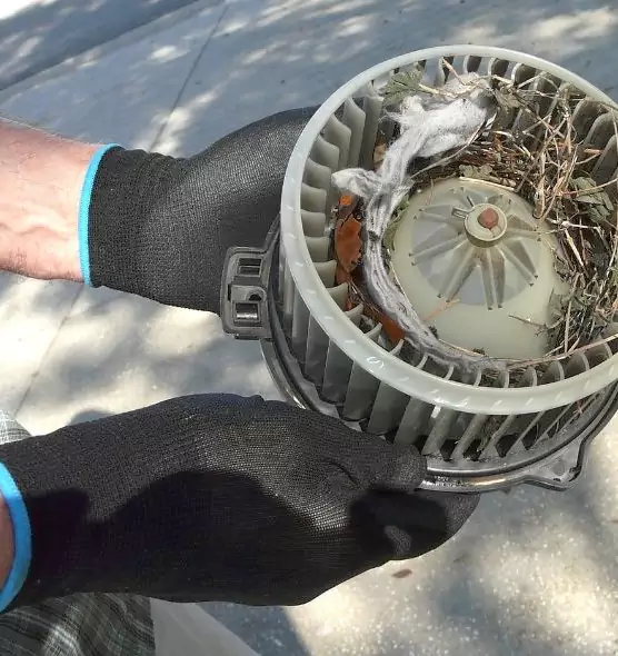 About Air Duct Rat Removal in Gardena, CA