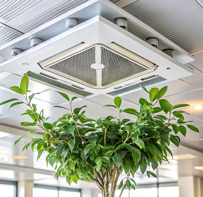 Why Homeowners & Businesses Trust Us in Gardena, CA?