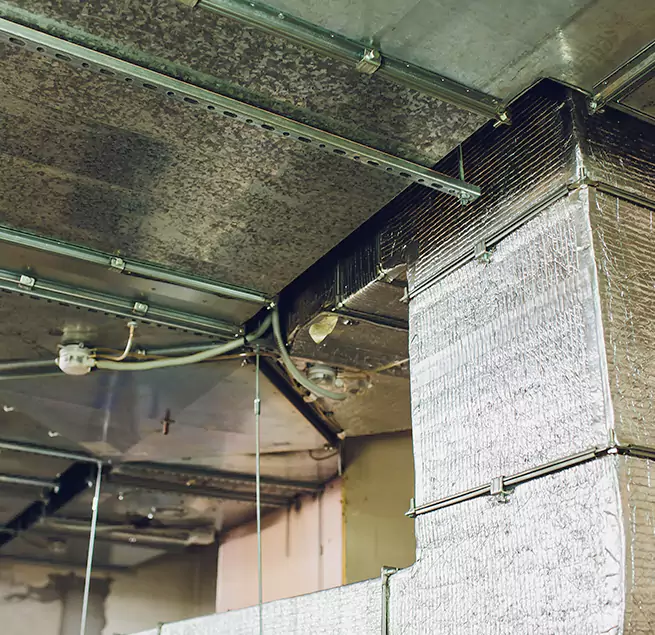 Why Homeowners & Businesses Trust Us in Gardena, CA?